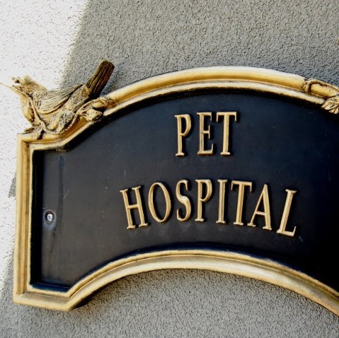 Hillcrest Animal Hospital - Little Rock , United States