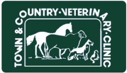 Town And Country Veterinary Clinic - Oviedo , United States