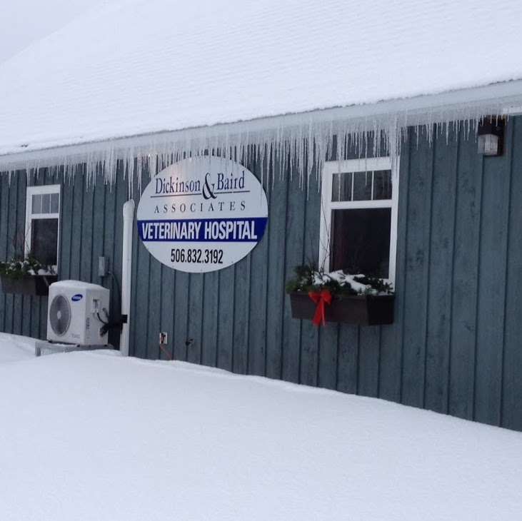 Dickinson And Baird Veterinary Hospital - Hampton , Canada