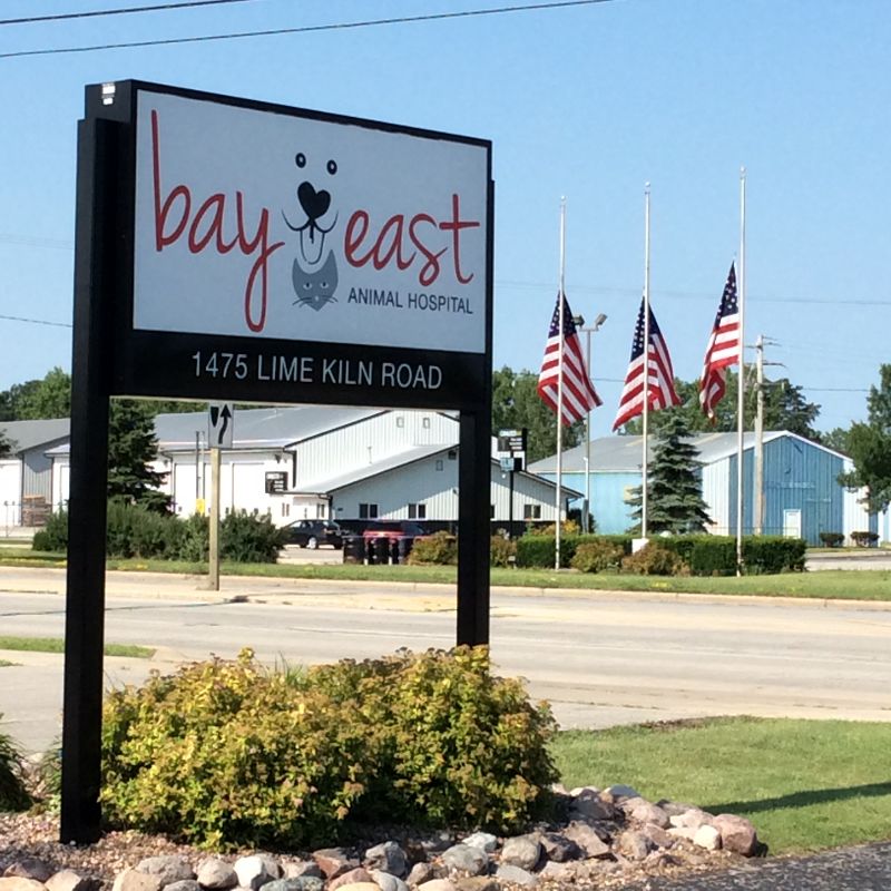 Bay East Animal Hospital - Green Bay , United States