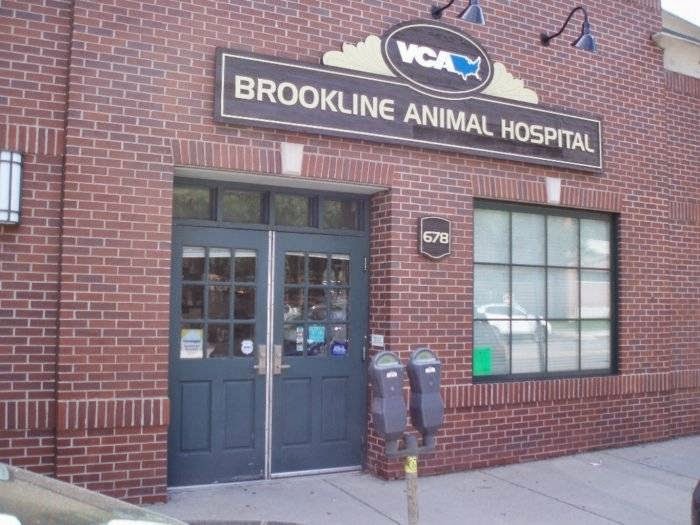 Vca Brookline Animal Hospital - Brookline , United States