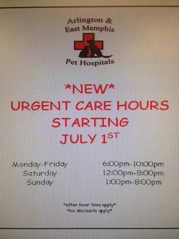 Arlington Pet Hospital - Arlington , United States
