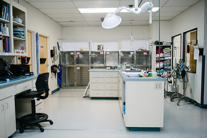 Solano Napa Pet Er Clinic - Fairfield , United States