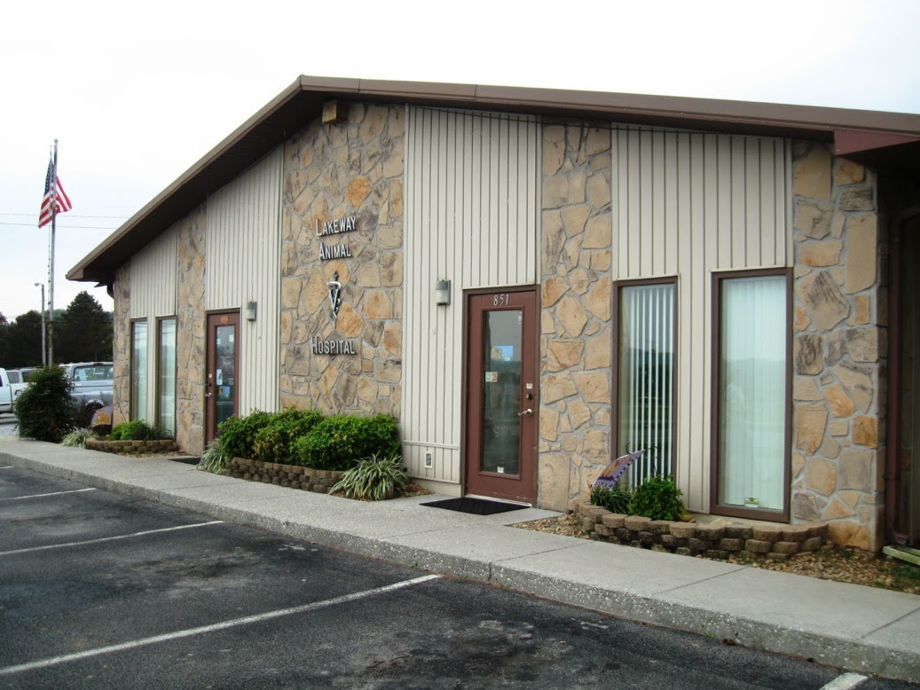 Lakeway Animal Hospital - Talbott , United States