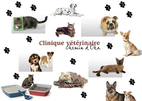 Clinique Vétérinaire Chemin Doka / Clinique Vétérinaire Du Vieux Saint Eustache - Saint-Eustache , Canada
