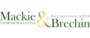 Mackie And Brechin - Linlithgow , United Kingdom