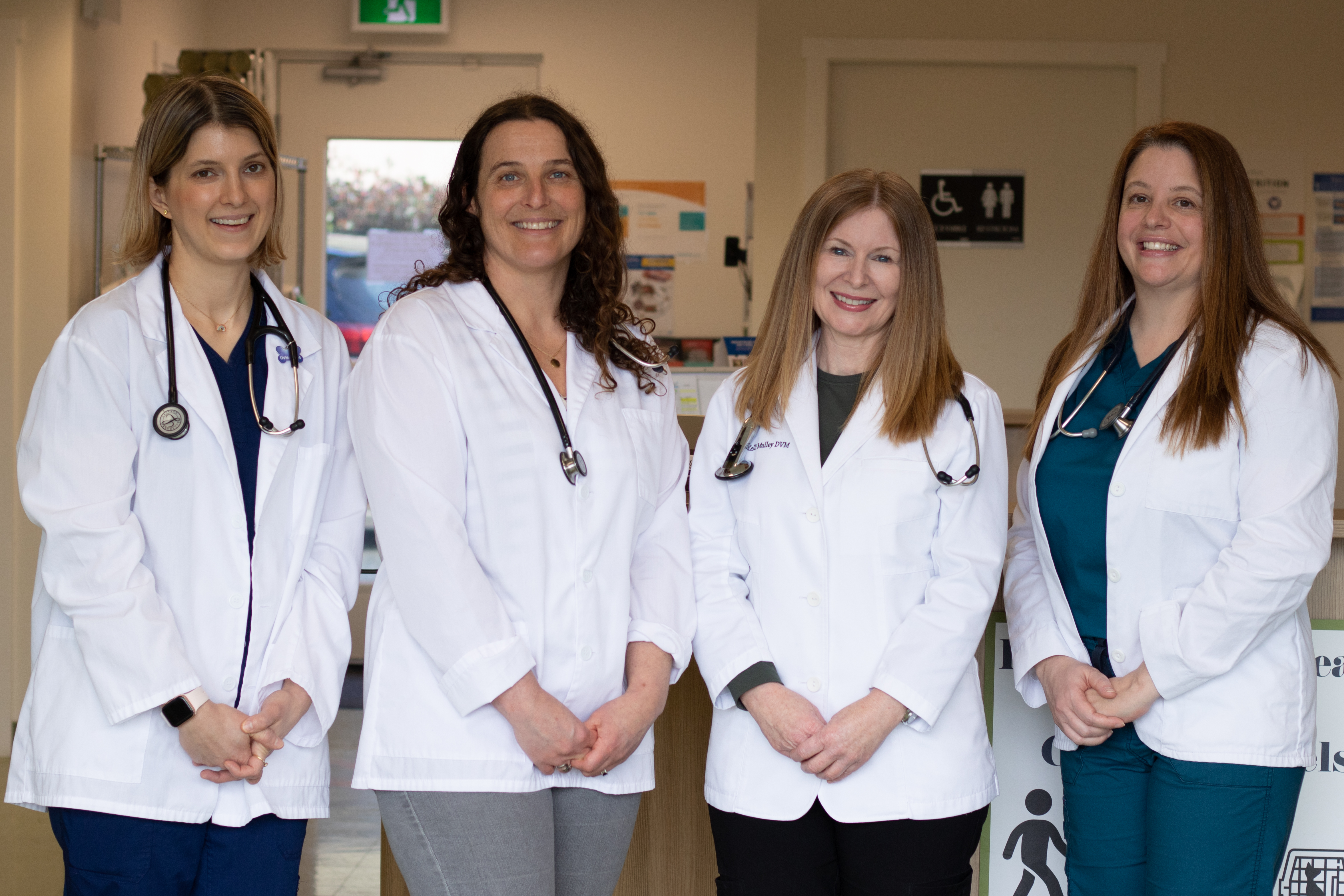 City Pets Animal Clinic - Victoria , Canada