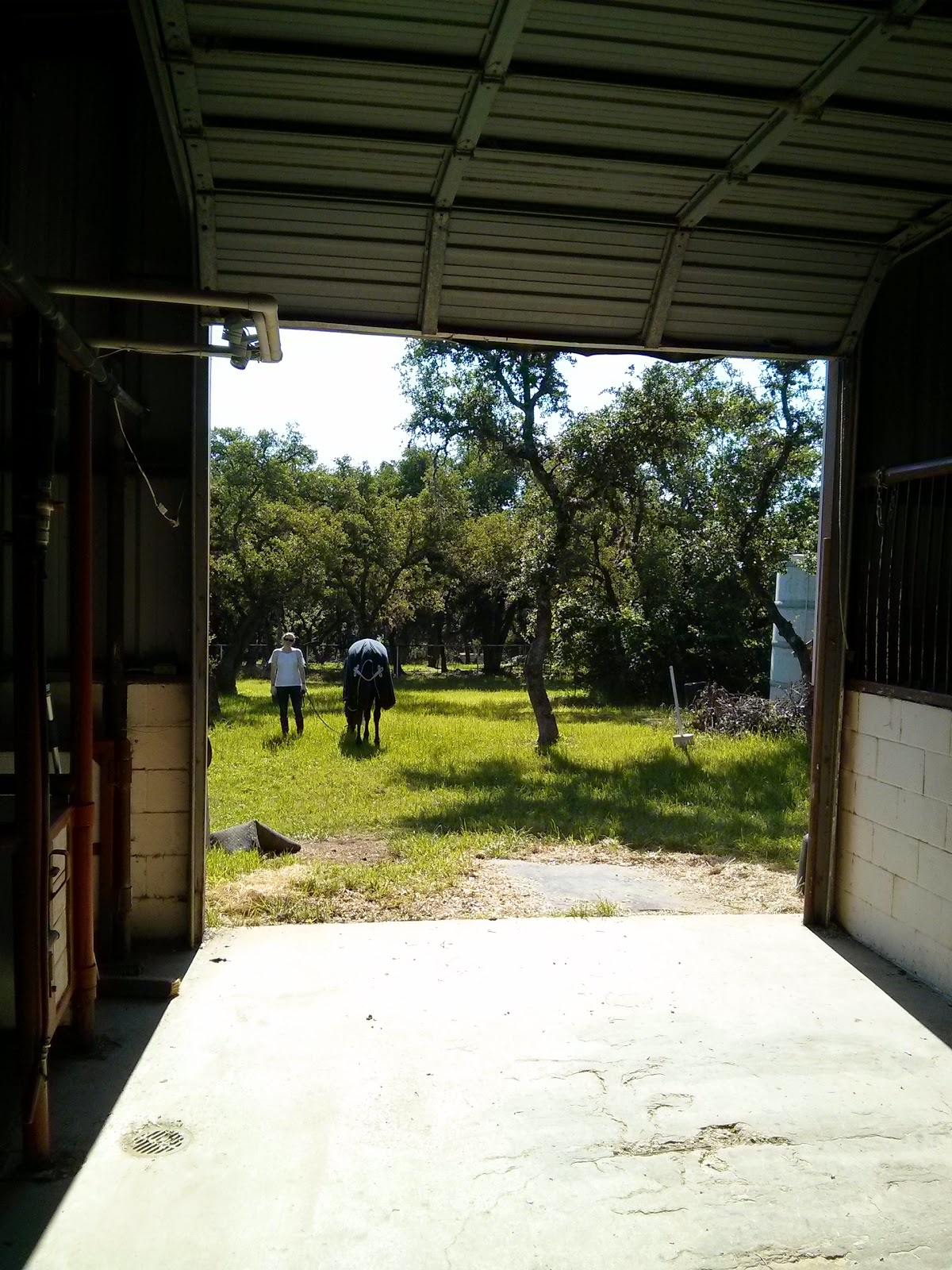 Kendall County Veterinary Center - Boerne , United States