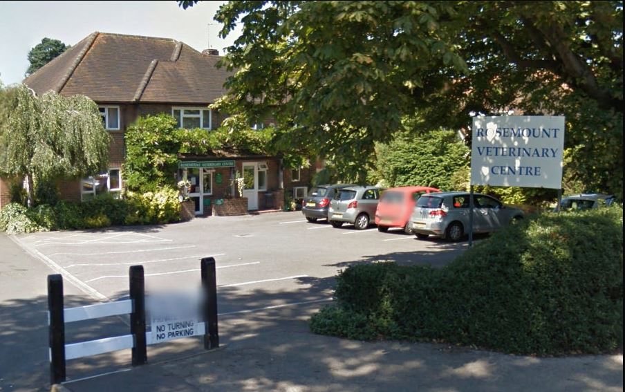 Medivet West Byfleet - West Byfleet , United Kingdom