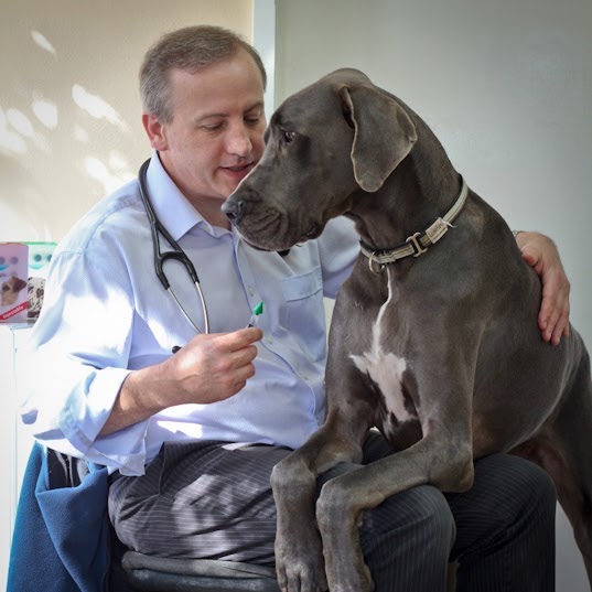 Pennant Hills Veterinary Hospital - Pennant Hills , Australia