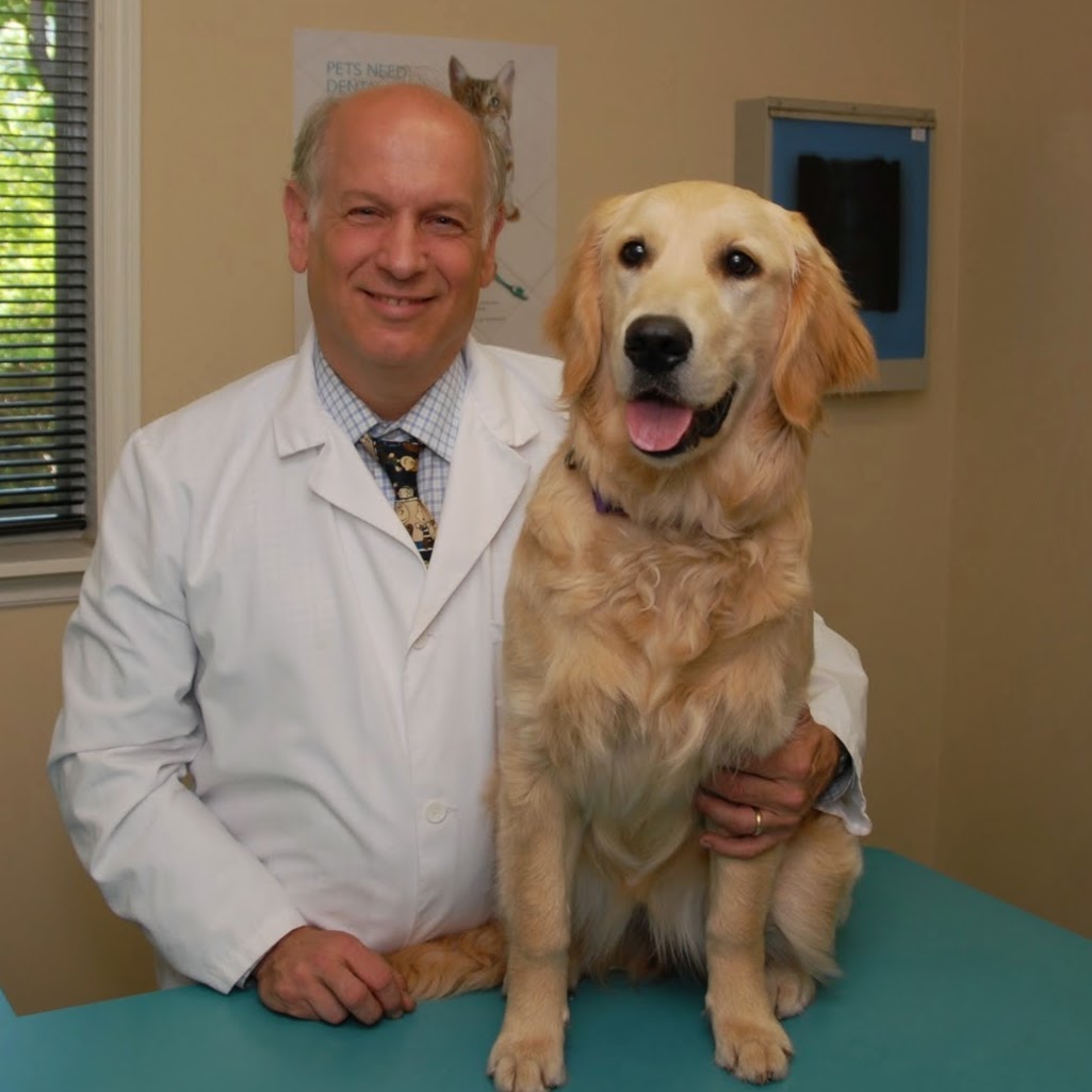 Bridletowne Warden Animal Hospital - Scarborough , Canada