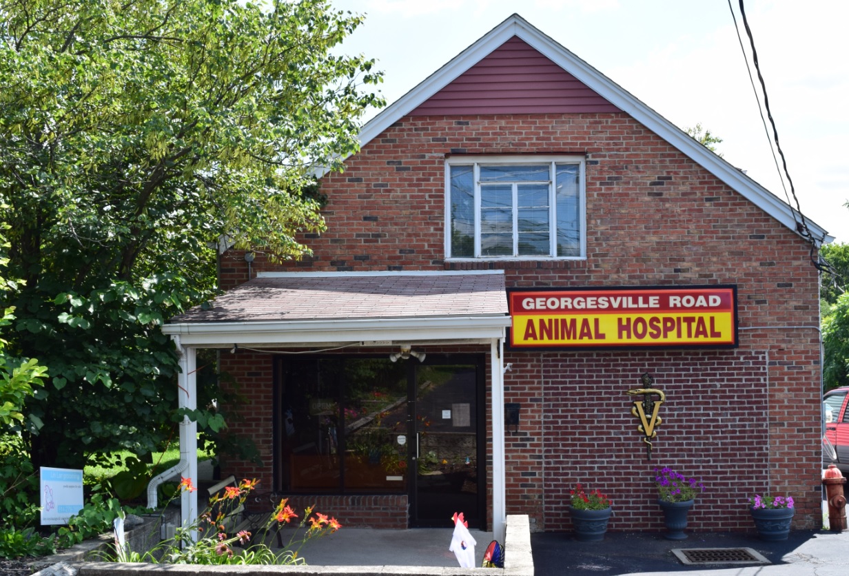 Georgesville Road Animal Hospital - Columbus , United States