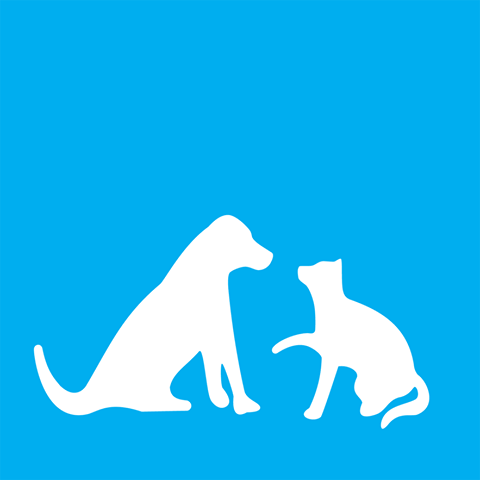 Wedgewood Pet Clinic - Oklahoma City , United States