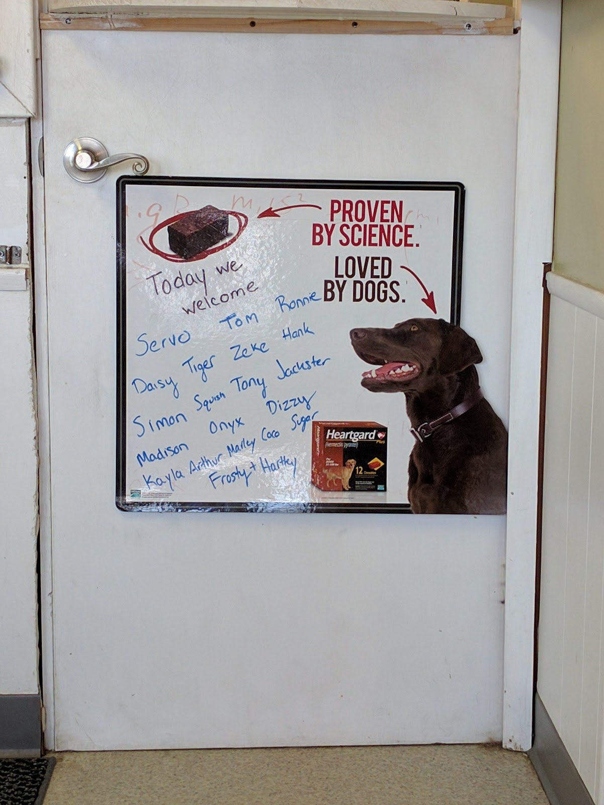 Fifth And Kenny Animal Hospital - Columbus , United States