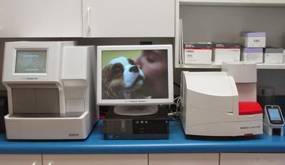 Business's Photo
