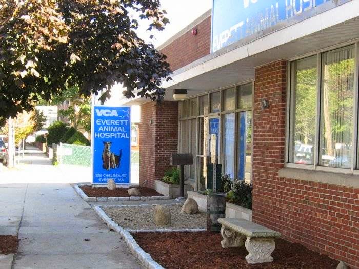 Vca Everett Animal Hospital - Everett , United States