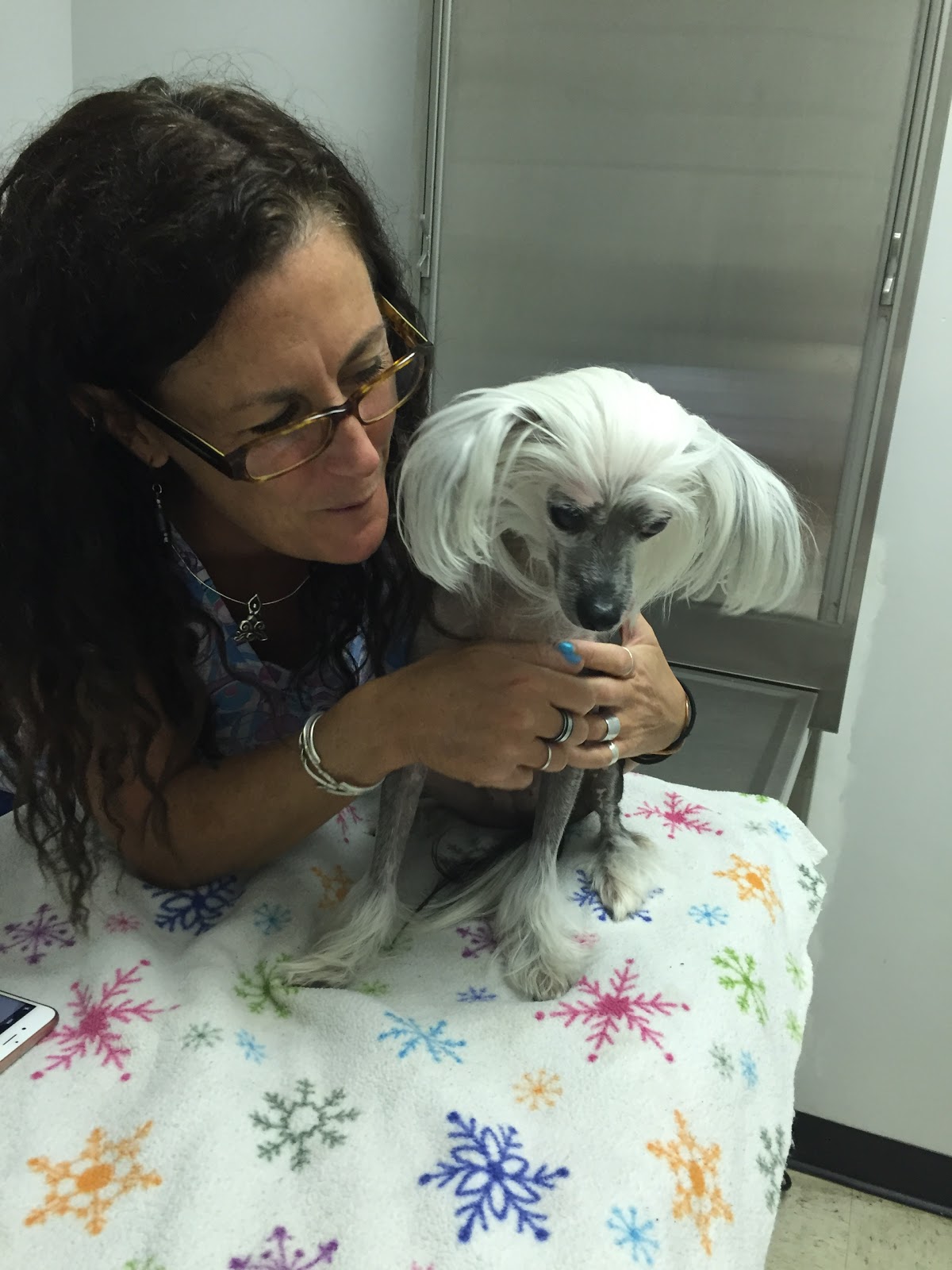 Long Point Animal Hospital - Mt Pleasant , United States