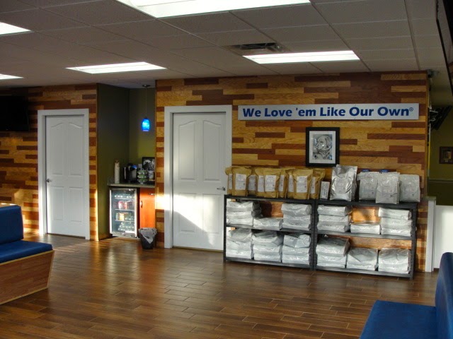 Vca Deltona Boulevard Animal Hospital - Deltona , United States