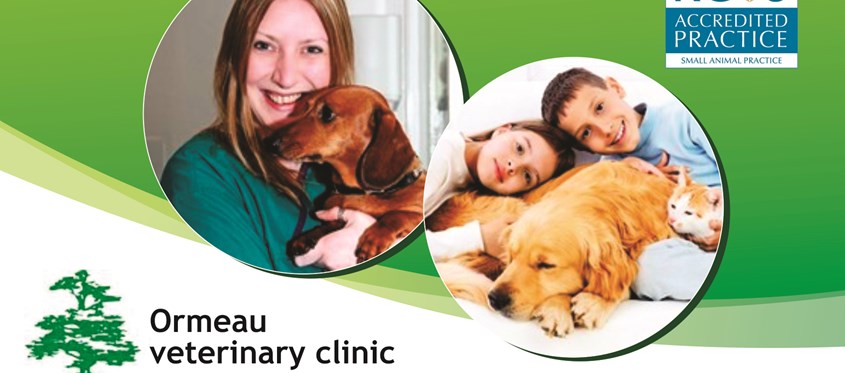 Cedar Grove And Ormeau Veterinary Clinic - Belfast , United Kingdom
