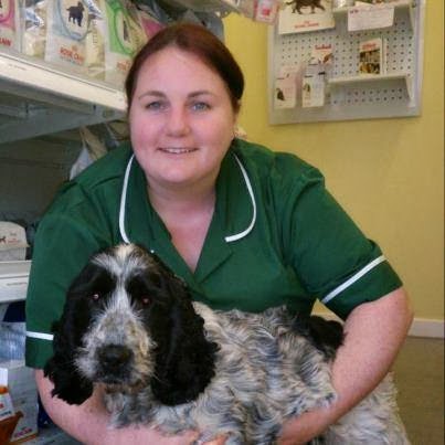 St Georges Veterinary Group - Wolverhampton , United Kingdom