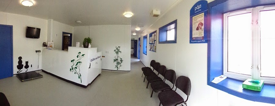 Collier And Brock Vets Irvine - Irvine , United Kingdom