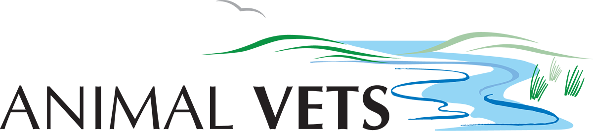Animal Vets - Hayle , United Kingdom