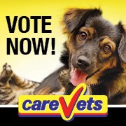 Carevets Te Atatu - Henderson , New Zealand