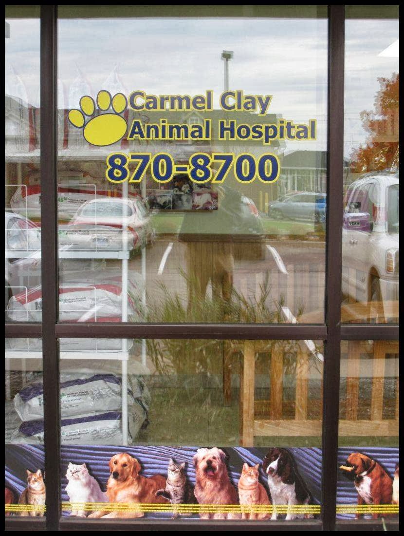 Carmel Clay Animal Hospital - Carmel , United States