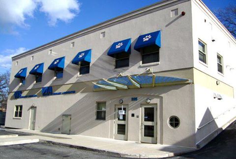Boston Veterinary Specialists - Dedham , United States