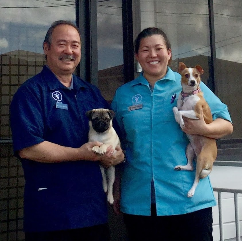 Aina Haina Pet Hospital - Honolulu , United States