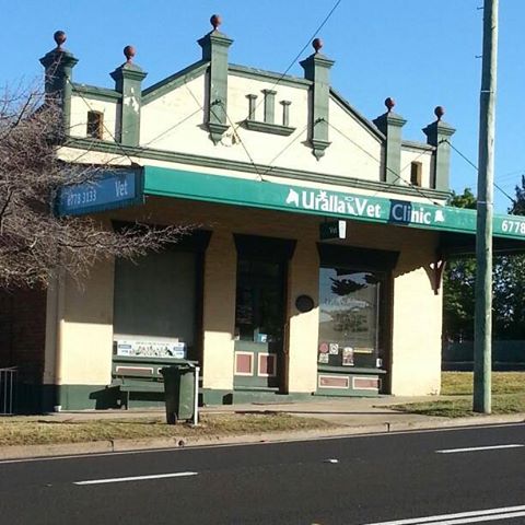 Uralla Veterinary Clinic - Uralla , Australia