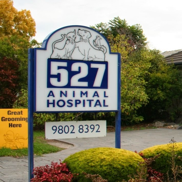 High Street Road Animal Hospital - Mount Waverley , Australia