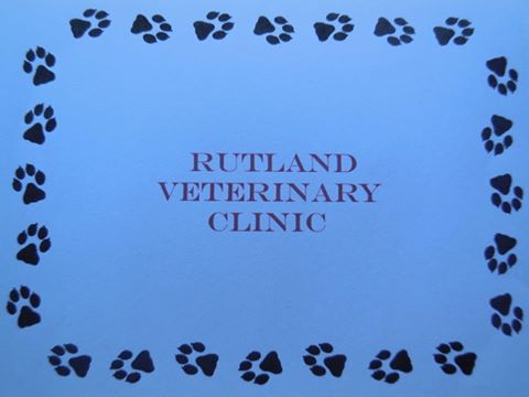 Rutland Veterinary Clinic - Rutland , United States