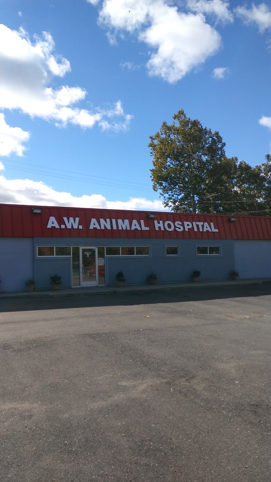A W Animal Hospital - Taylor , United States