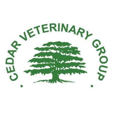 Cedar Veterinary Group Ferndown - Ferndown , United Kingdom