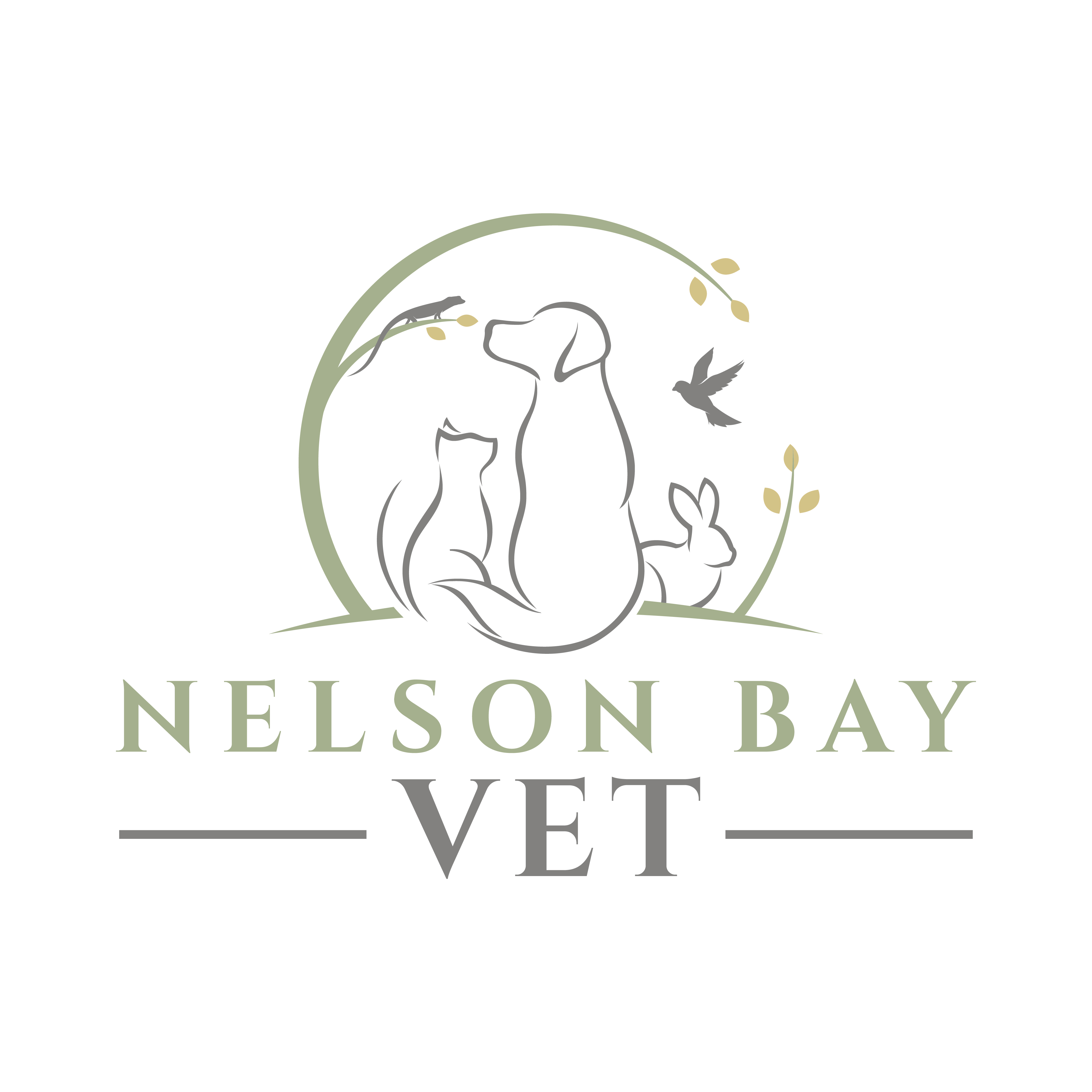Nelson Bay Veterinary Clinic - Nelson Bay , Australia
