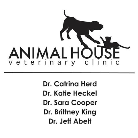 Animal House Veterinary Clinic - Nashville , United States