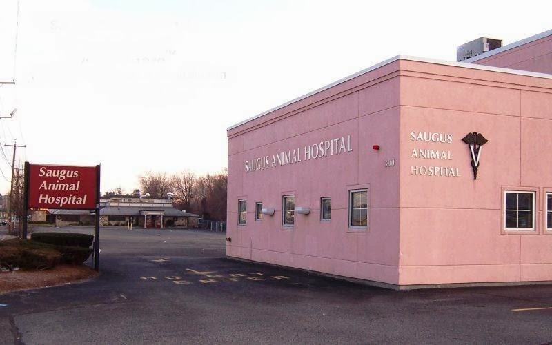 Saugus Animal Hospital - Saugus , United States