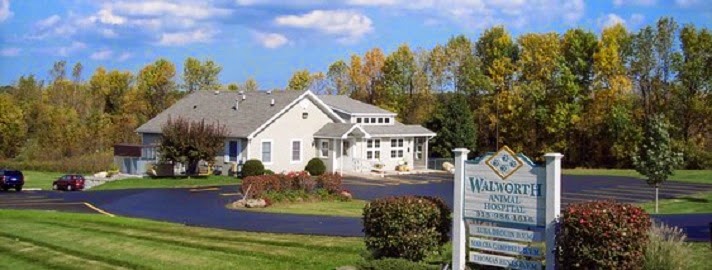 Walworth Animal Hospital - Walworth , United States