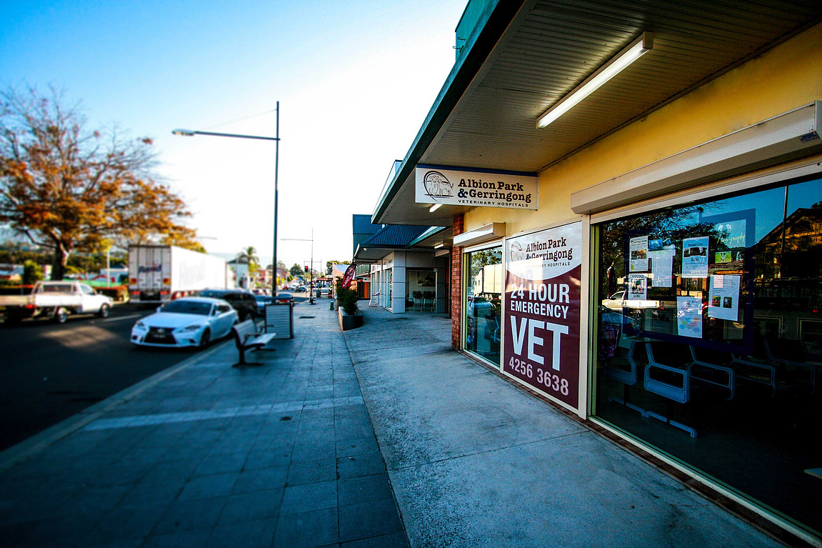 Albion Park Veterinary Hospital - Albion Park , Australia