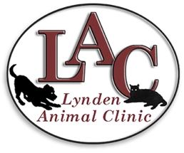 Lynden Animal Clinic - Hamilton , Canada