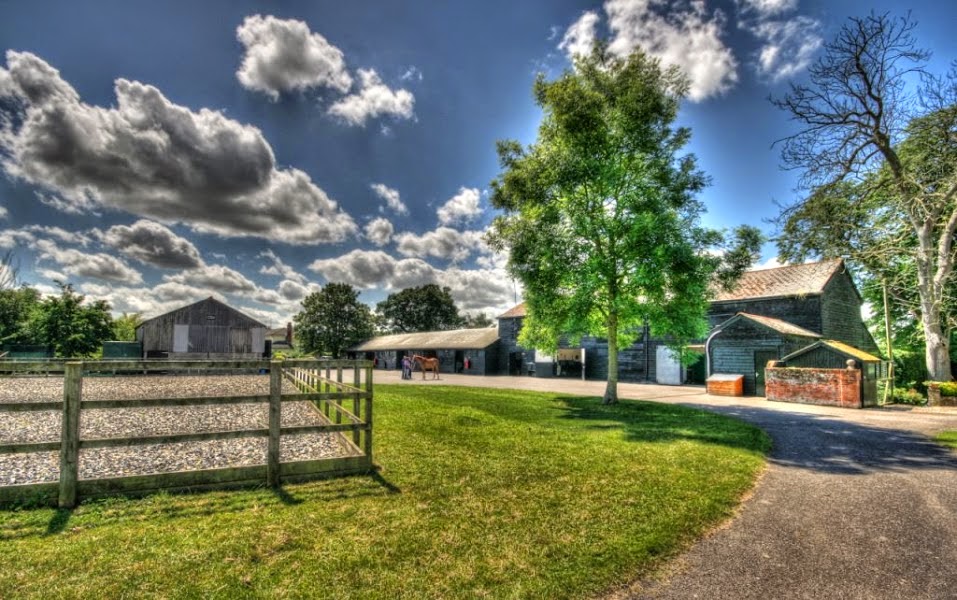 Paton And Lee Ltd Equine Veterinary Surgeons - Witham , United Kingdom