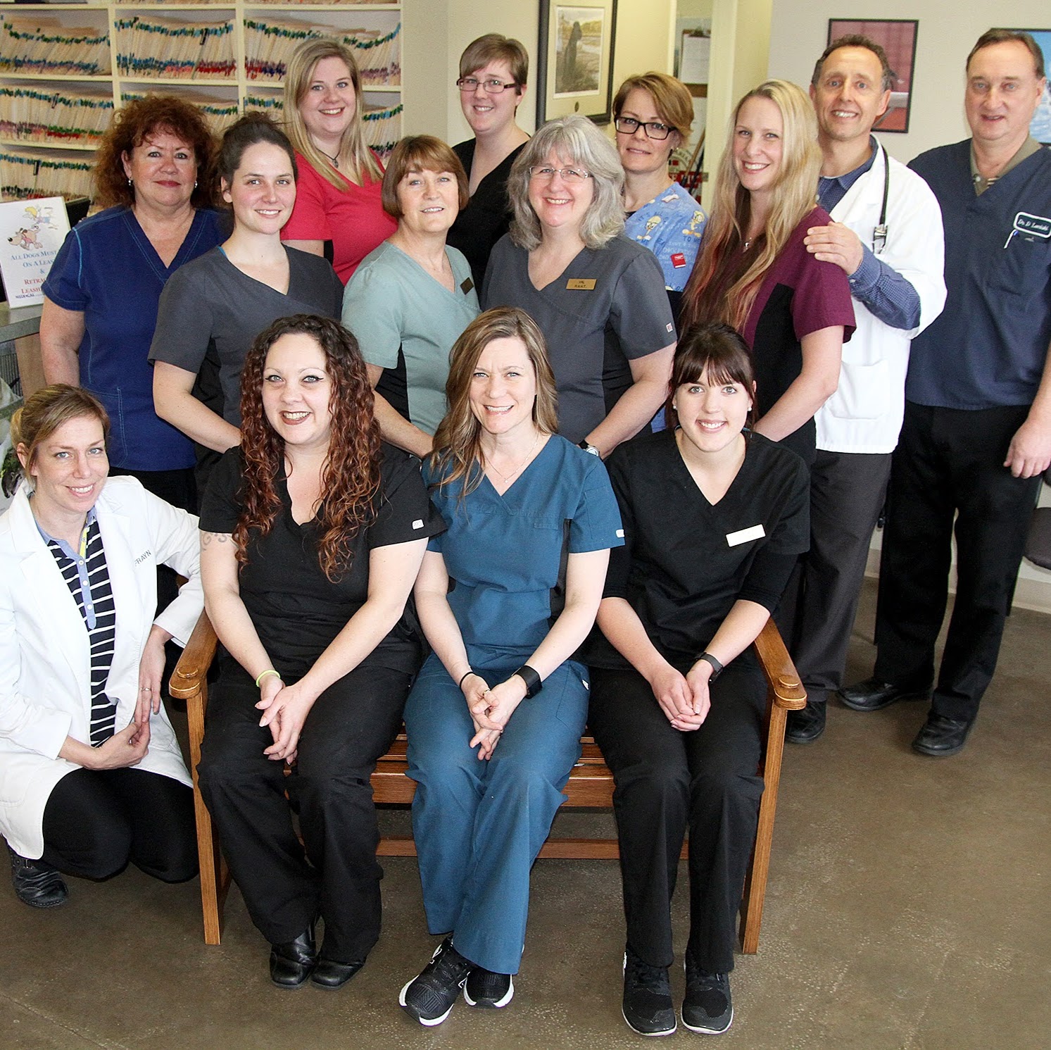 Vernon Veterinary Clinic - Vernon , Canada