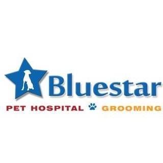 St Johns Vets Affordable Animal Hospital - St Johns , United States