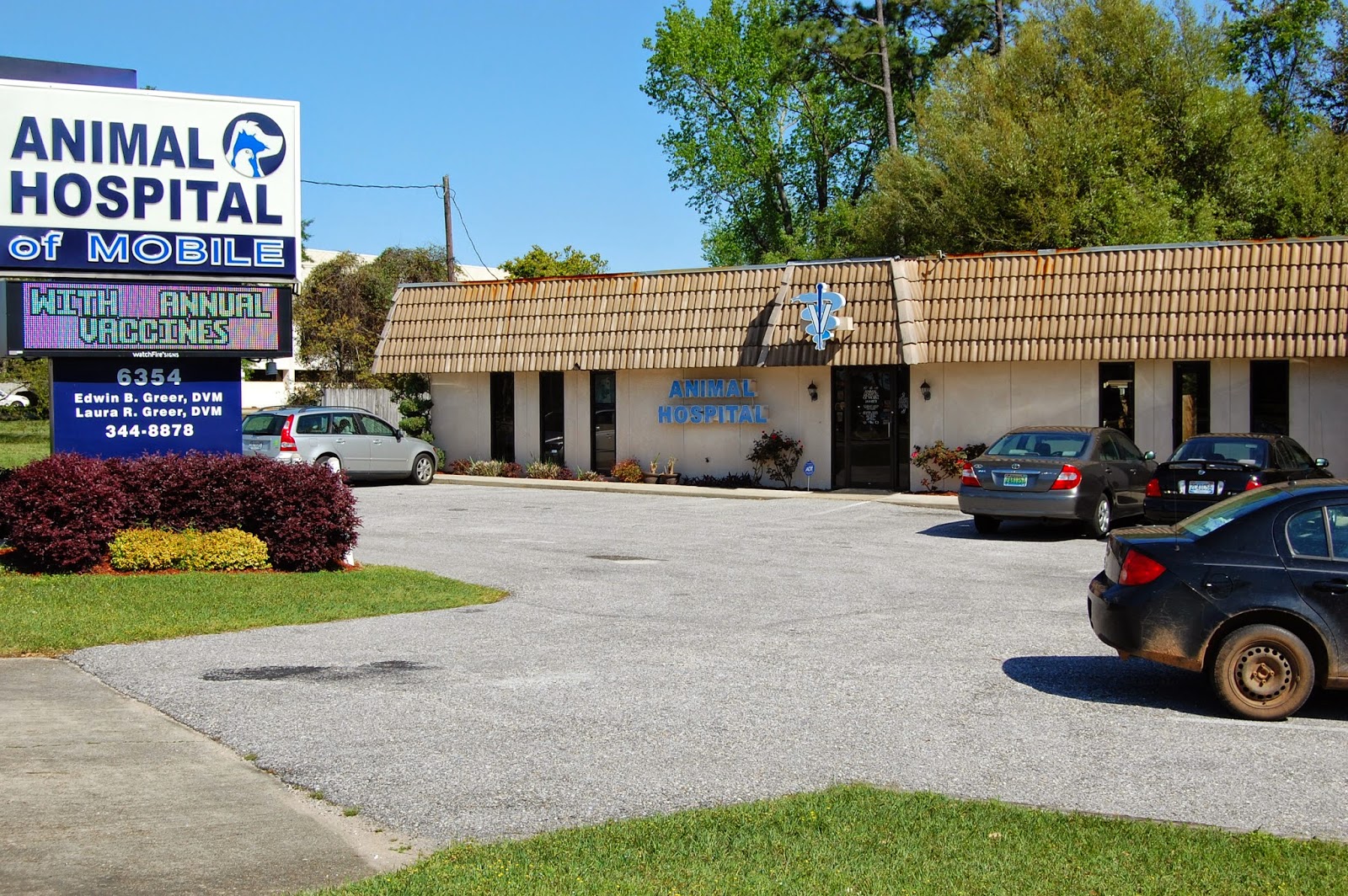Animal Hospital Of Mobile - Mobile , United States