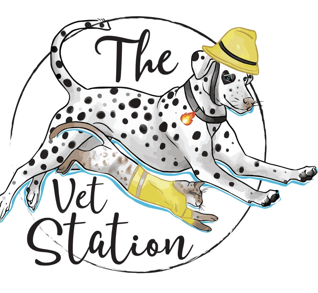The Vet Station Molesey - East Molesey , United Kingdom