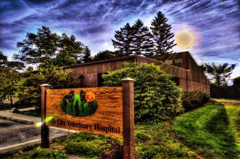 Belle City Veterinary Hospital - Mt Pleasant , United States