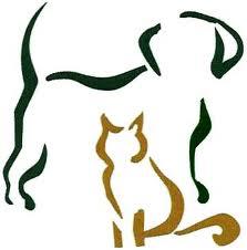 Crossroads Veterinary Clinic - Versailles , United States