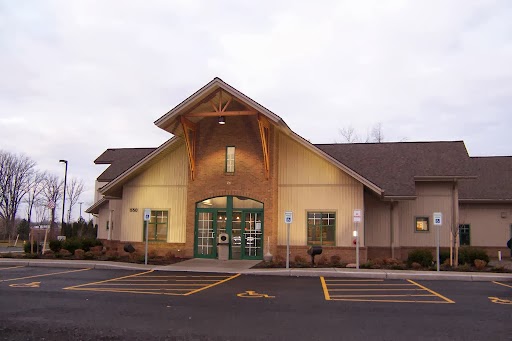 Stone Ridge Veterinary Hospital - Rochester , United States