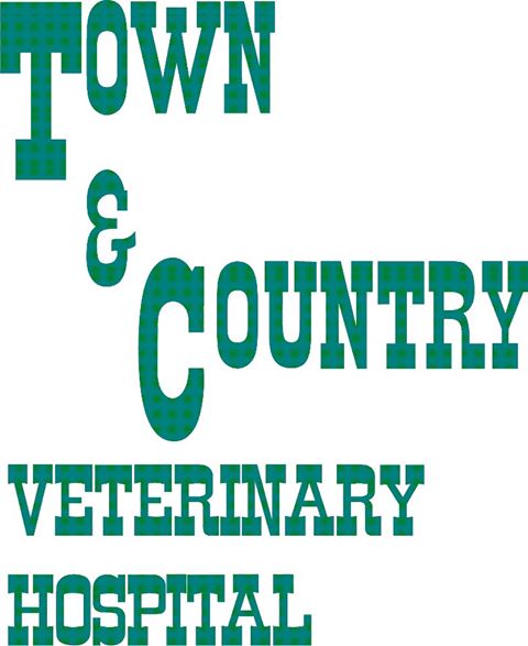 Town and Country Veterinary Hospital - Midland , United States